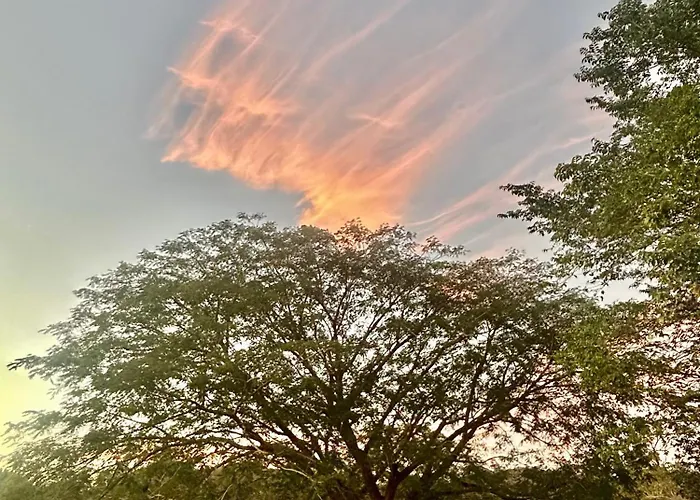 Appartamento Continental Europa - Guanacaste