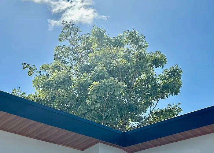 Continental Europa - Guanacaste Nicoya